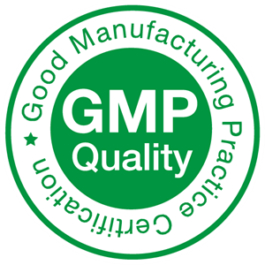 gmp-logo