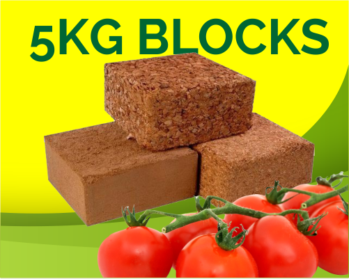 5kg-block