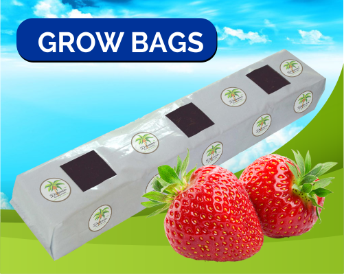 grow-bags