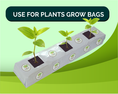 Planter Bags | Bio Substrates Ceylon Coco Peat